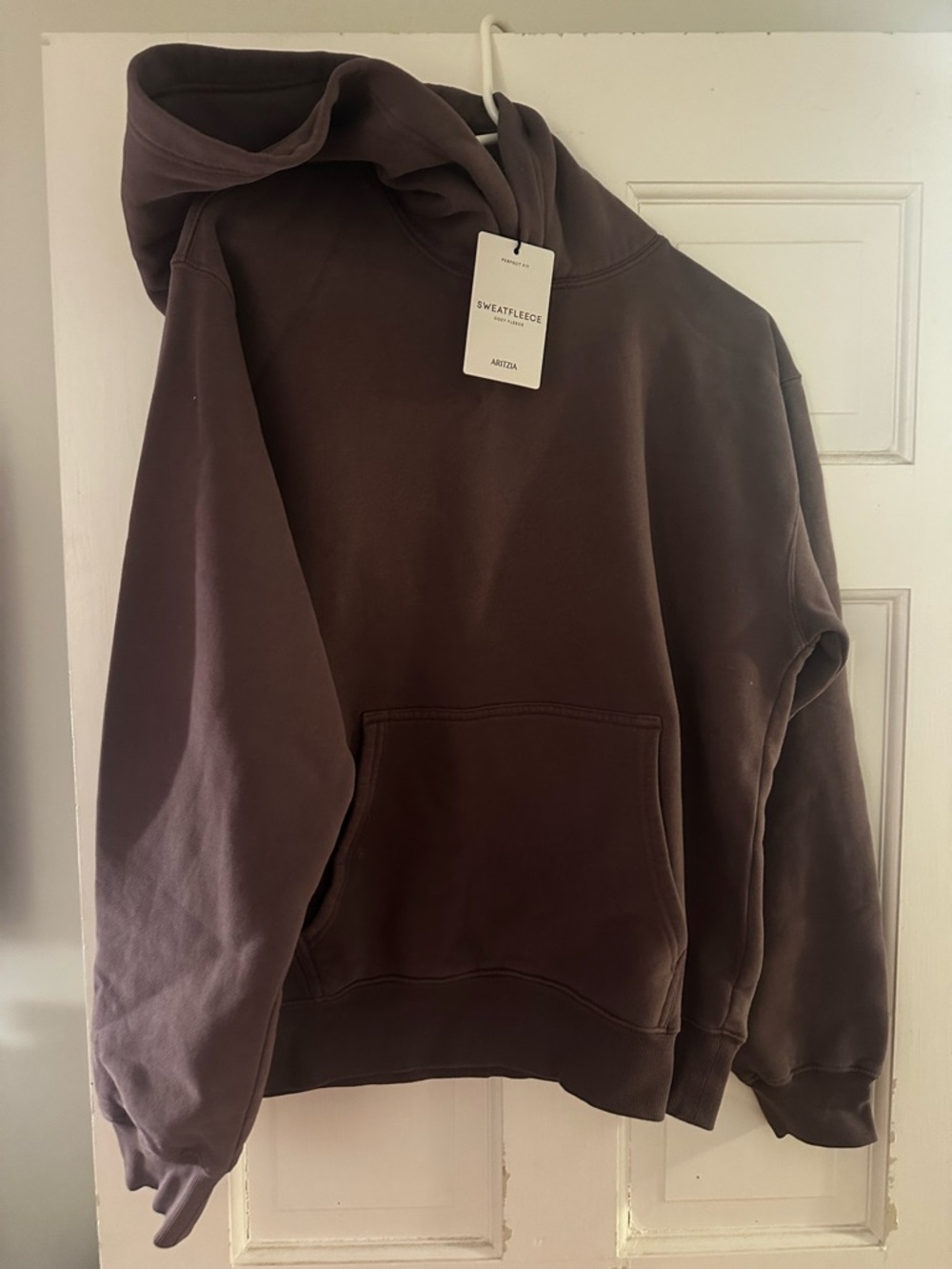 Aritzia hoodie